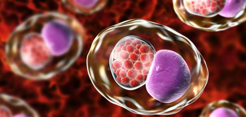 Clamidia uomo, tutto quello che devi sapere
