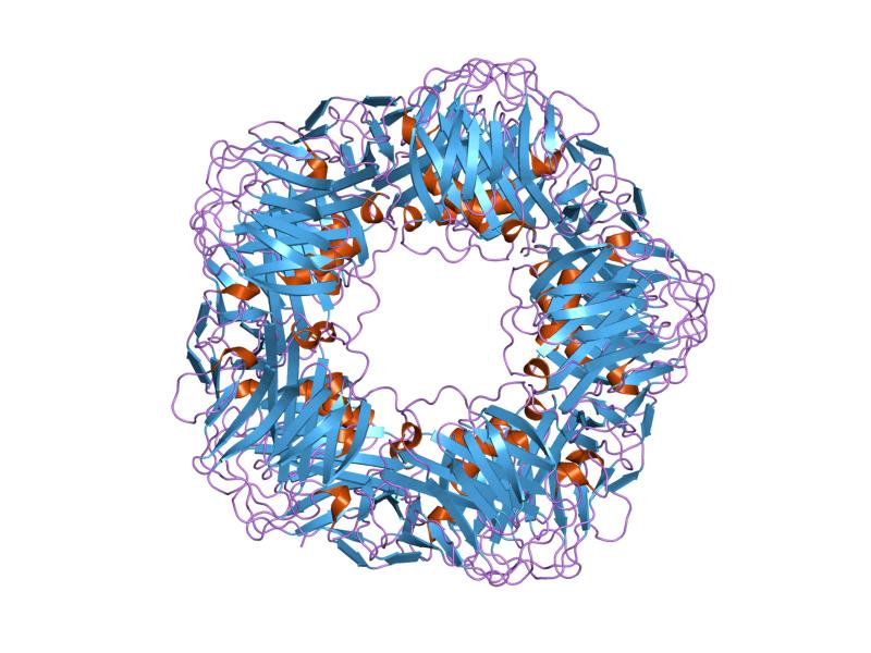 Proteina c reattiva alta Proteina c reattiva alta