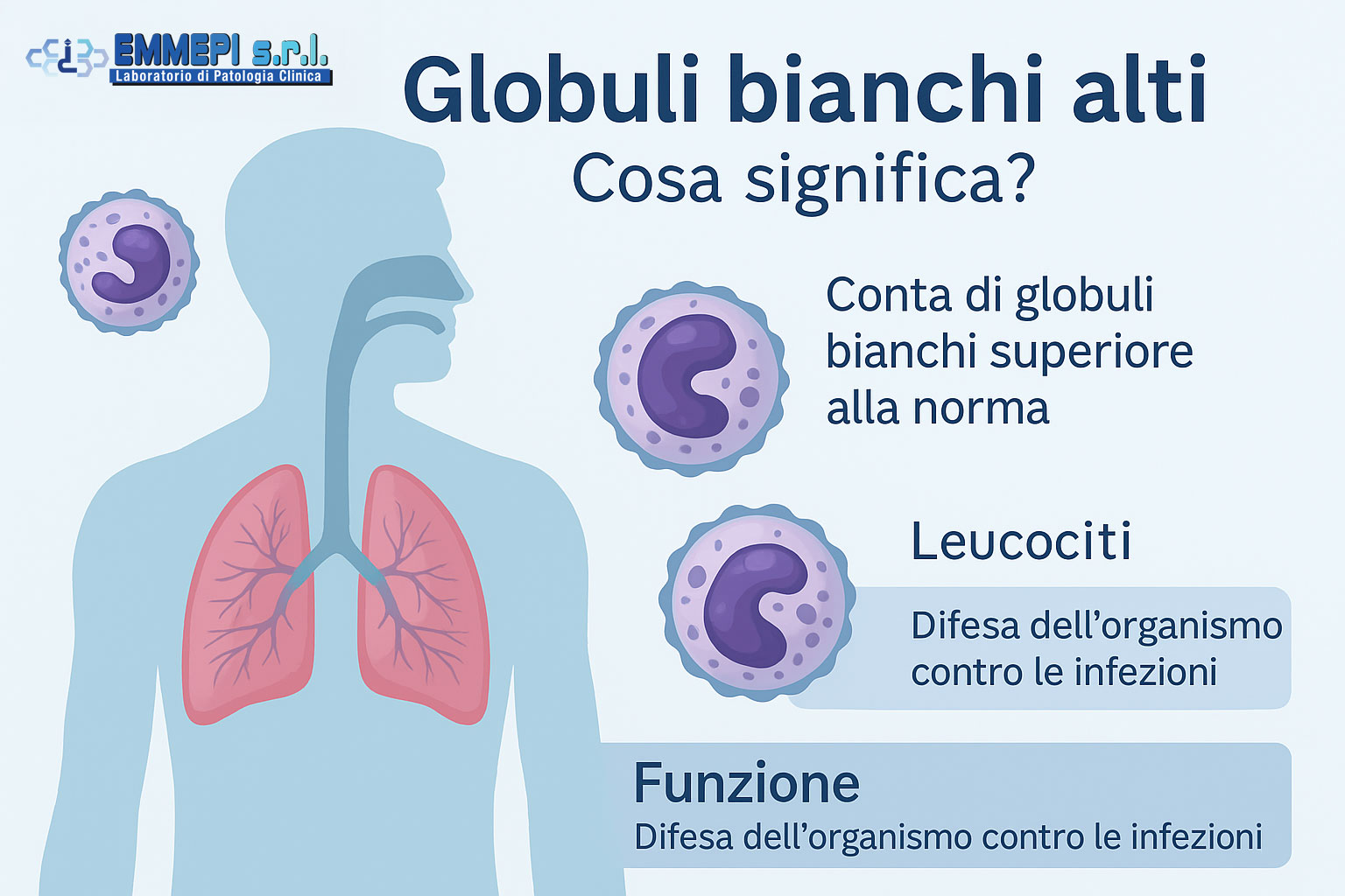 globuli bianchi alti