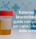 esterasi leucocitaria