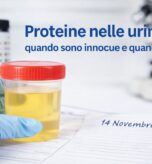 proteine nelle urine