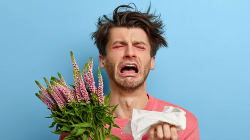 alex test allergie