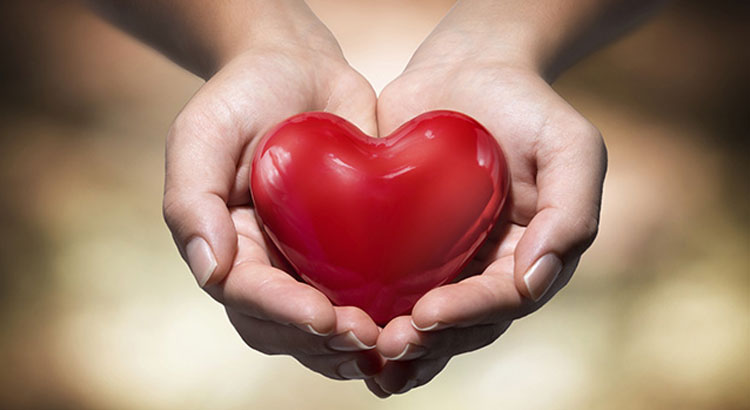 profilo cardiologico