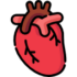 pacchetto esami cuore